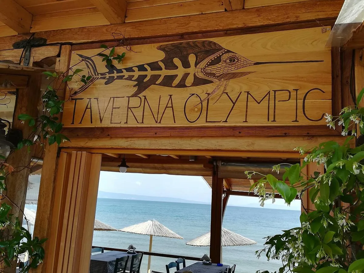 Olympic Hotel Olympiada